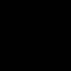 Meet your Posher, Marcal